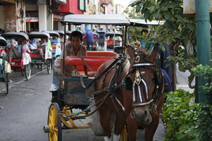 Happy Trails Transport